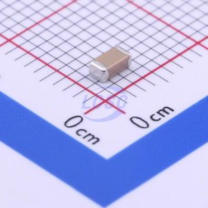 FH (Guangdong Fenghua Advanced Tech) 1206B103K102NT