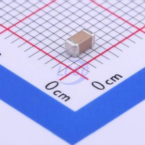 FH (Guangdong Fenghua Advanced Tech) 1206B105K101NT