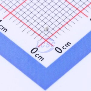 FH (Guangdong Fenghua Advanced Tech) 0402CG101J101NT
