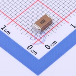 IHHEC(HOLY STONE ENTERPRISE CO., LTD) SCC2211X102K502T