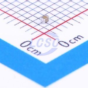FH (Guangdong Fenghua Advanced Tech) 0402X106M6R3NT