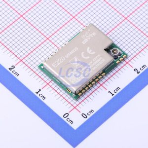 Chengdu Ebyte Elec Tech E220-900M22S