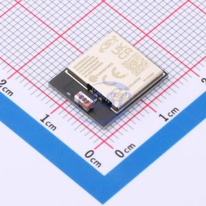 SKYWORKS/SILICON LABS BGM13P22F512GA-V2R