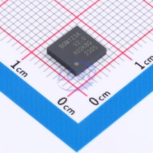 SKYWORKS/SILICON LABS BGM123A256V2R