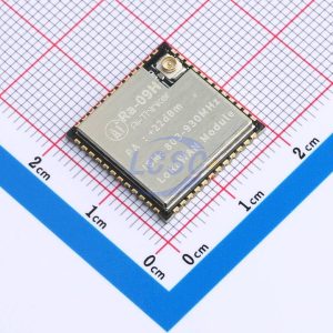 Ai-Thinker Ra-09H(US915)