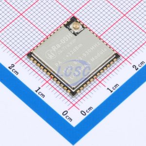 Ai-Thinker Ra-09H(IN865)