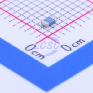 Vishay Intertech NTHS0805N02N1002JE