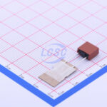 20190125 holly 5et 020h c356418 back.jpg