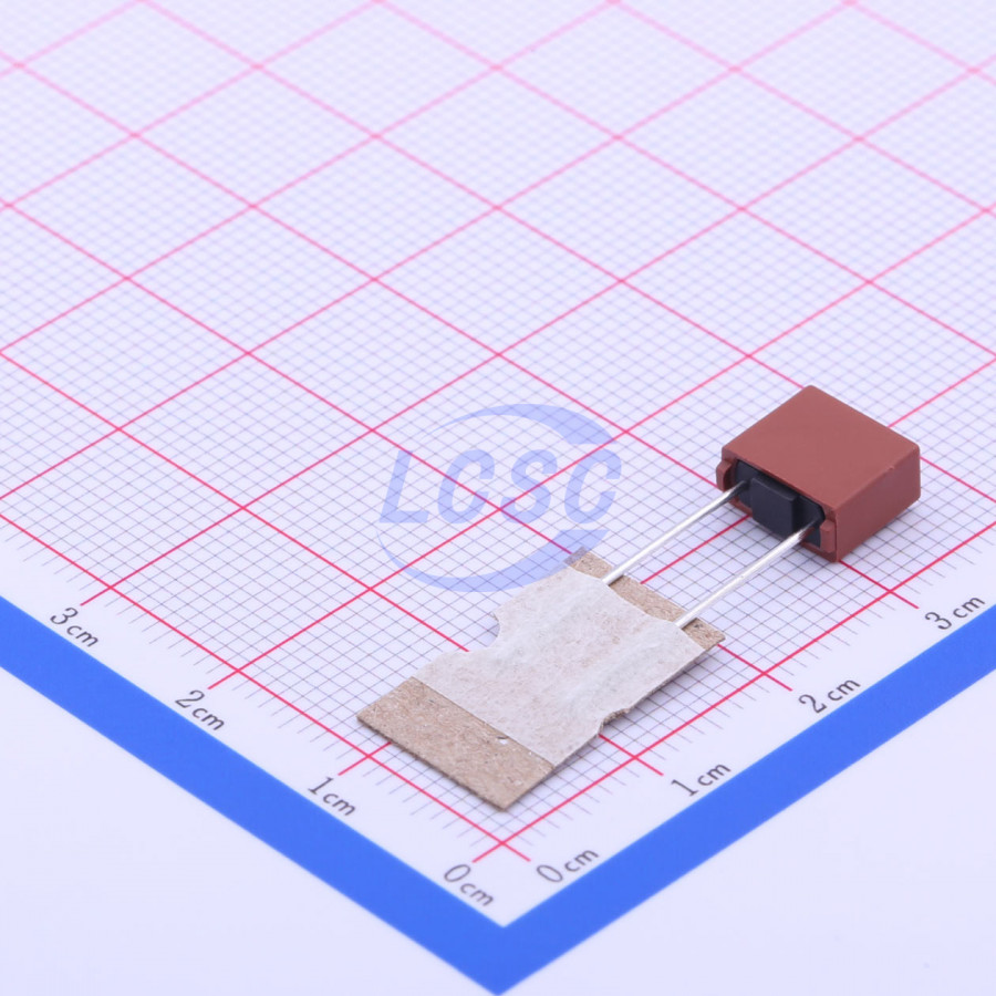 20190125 holly 5et 020h c356418 back.jpg