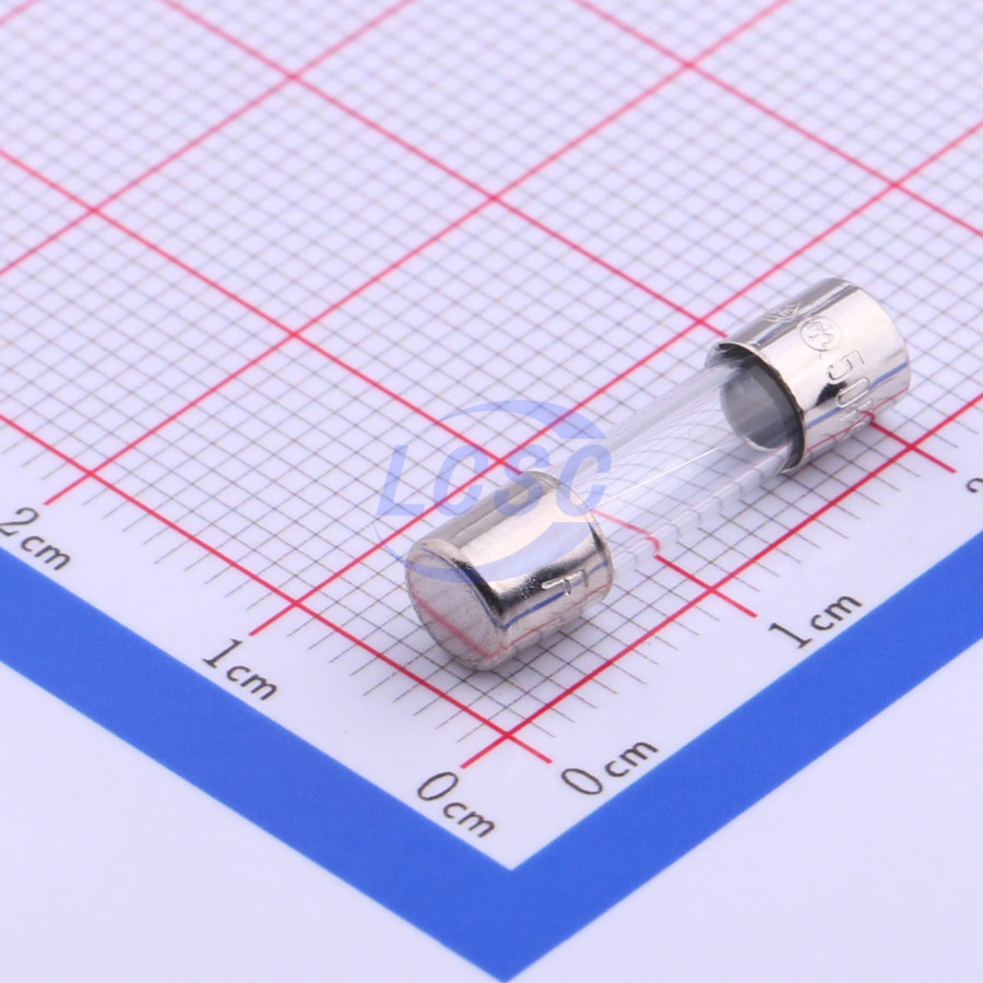 20190126 holly 50f 010h c356423 back.jpg