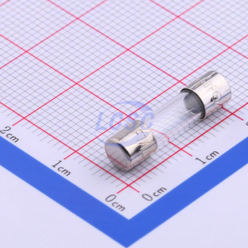 20190126 holly 50f 010h c356423 front.jpg