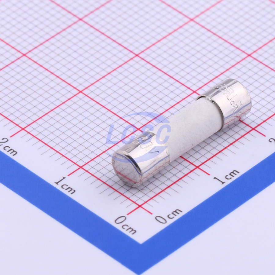 20190128 holly 50cf 010h c356444 back.jpg