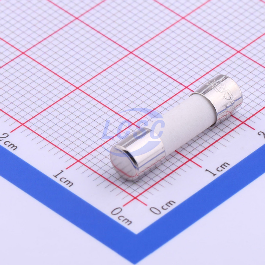 20190128 holly 50cf 020h c356445 back.jpg