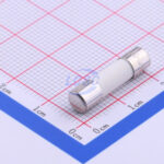 20190128 holly 50cf 063h c356447 back.jpg