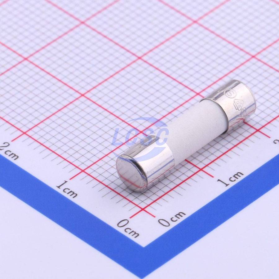 20190128 holly 50cf 063h c356447 back.jpg