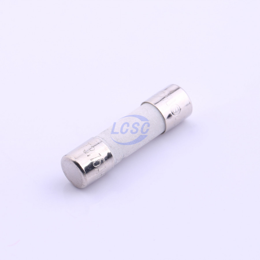 20190128 holly 50ct 032h c356439 blank.jpg