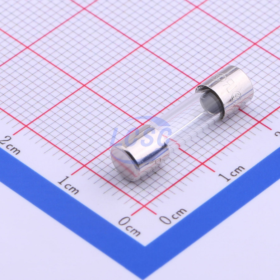 20190128 holly 50f 063h c356426 back.jpg