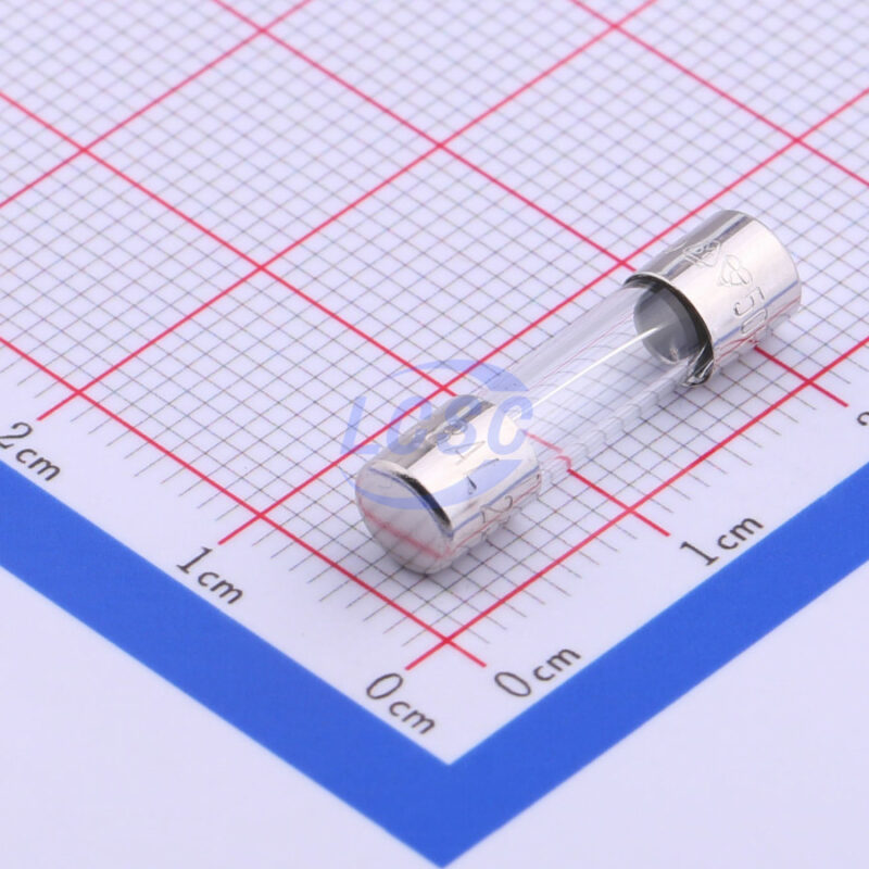 20190128 holly 50f 063h c356426 front.jpg