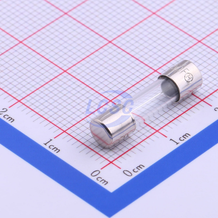 20190128 holly 50f 080h c356427 back.jpg