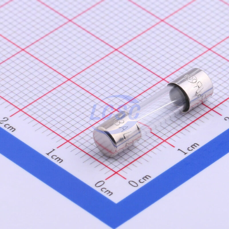 20190128 holly 50f 080h c356427 front.jpg