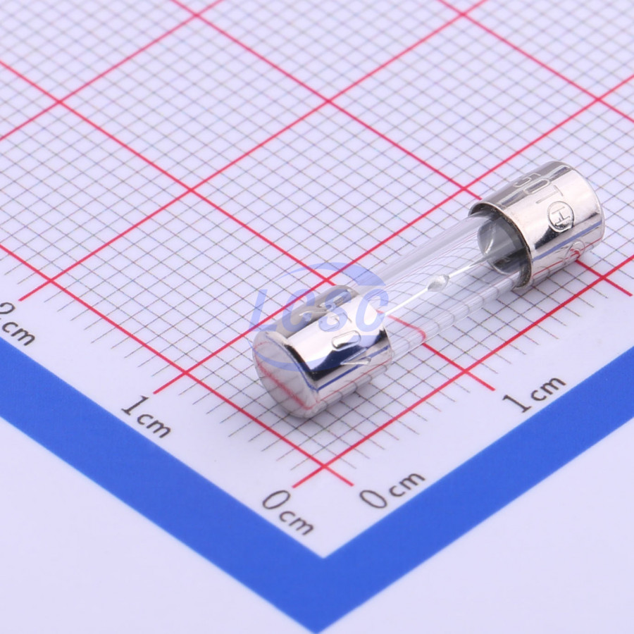 20190128 holly 50t 063h c356433 back.jpg