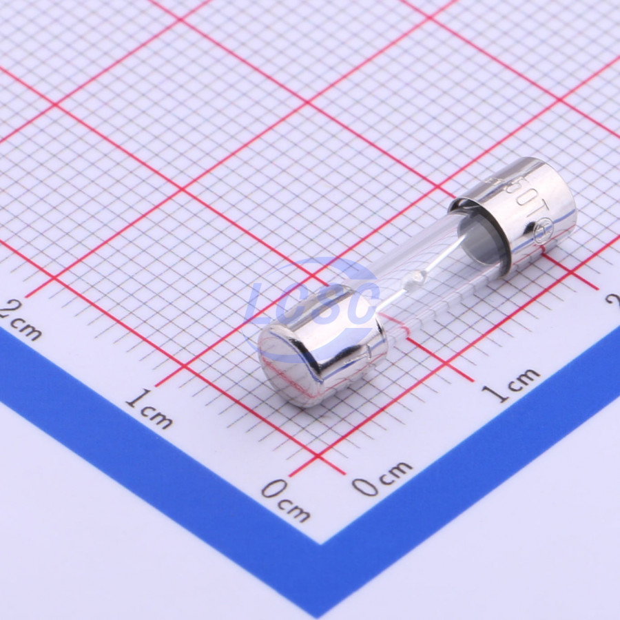 20190128 holly 50t 125h c356435 back.jpg