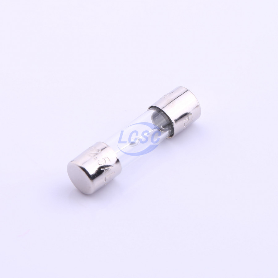 20190128 holly 50t 125h c356435 blank.jpg