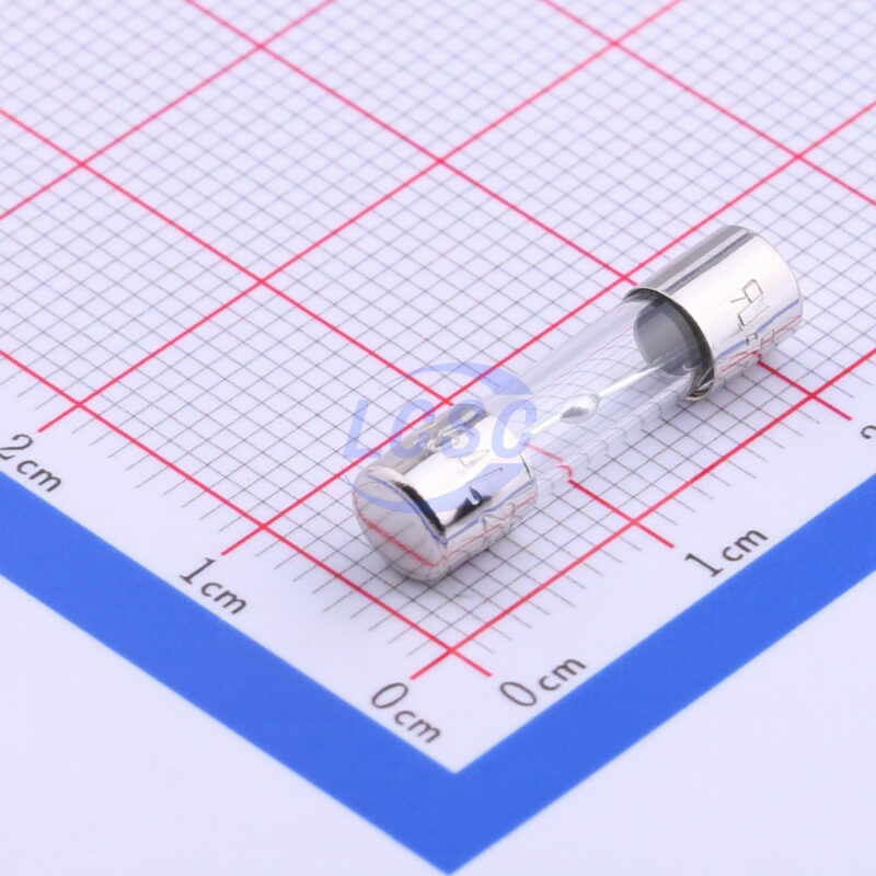 20190128 holly 50t 125h c356435 front.jpg