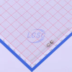 20190329 holly 30t 010h c377320 back.jpg