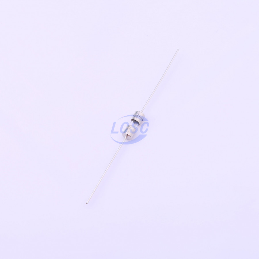 20190329 holly 30t 010h c377320 blank.jpg