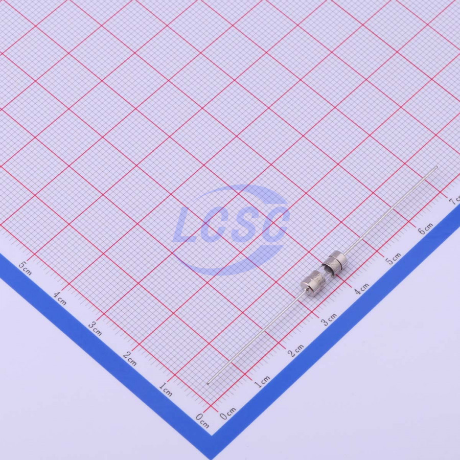 20190329 holly 30t 032h c377322 back.jpg