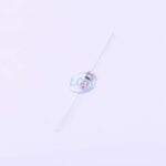 20190329 holly 30t 032h c377322 blank.jpg