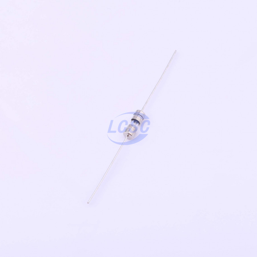 20190329 holly 30t 032h c377322 blank.jpg