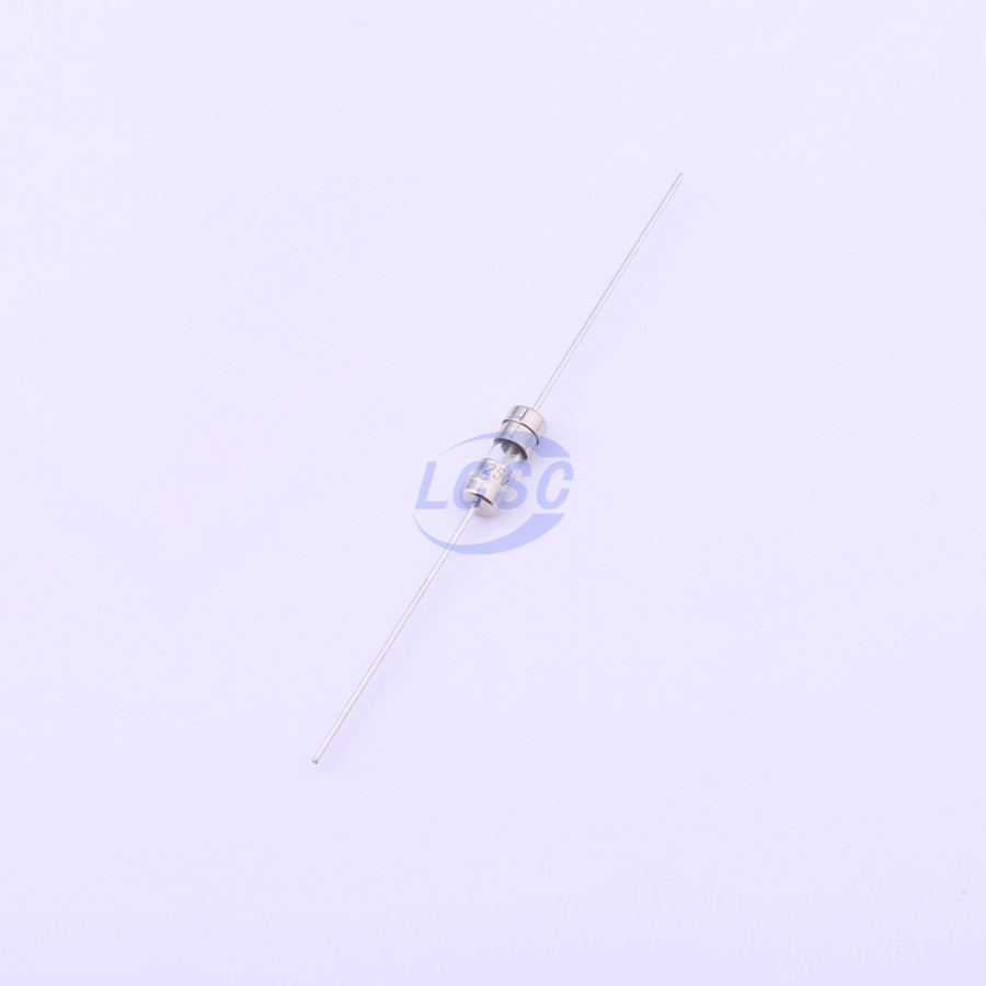 20190329 holly 30t 063h c377324 blank.jpg