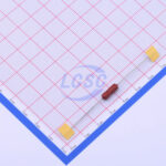 20190330 holly 30ts 010h c377308 back.jpg