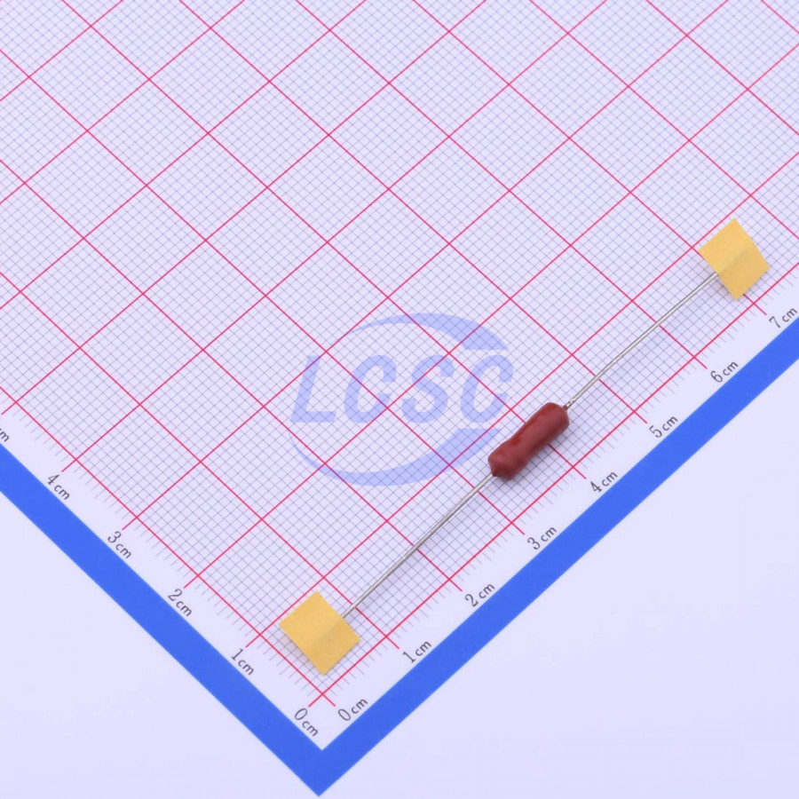 20190330 holly 30ts 010h c377308 back.jpg