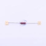 20190330 holly 30ts 010h c377308 blank.jpg