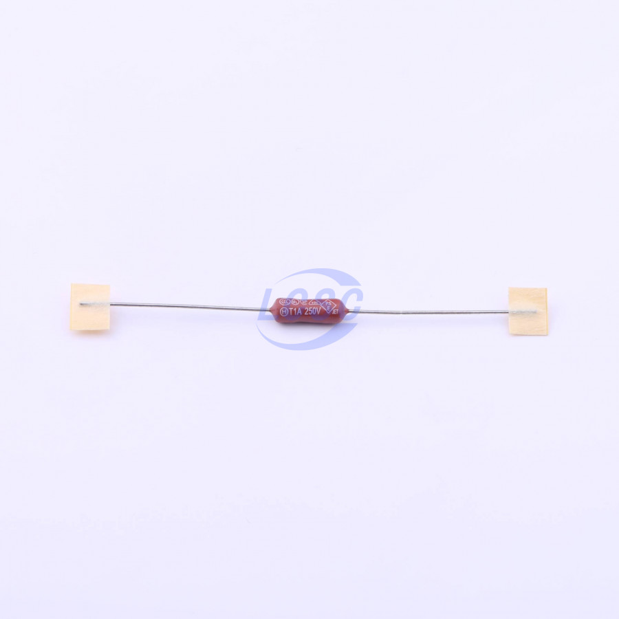 20190330 holly 30ts 010h c377308 blank.jpg