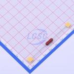 20190330 holly 30ts 020h2 c377309 back.jpg