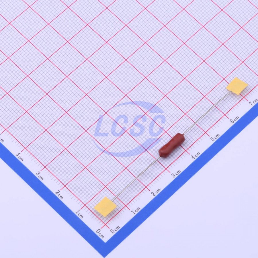 20190330 holly 30ts 020h2 c377309 back.jpg