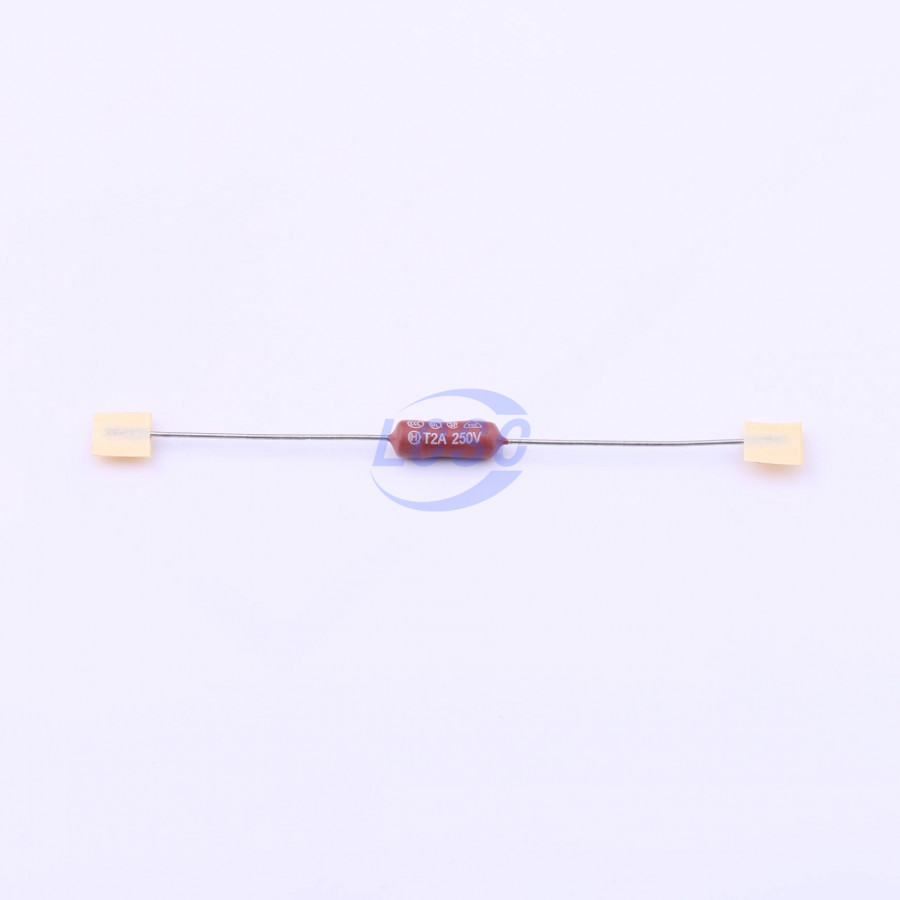 20190330 holly 30ts 020h2 c377309 blank.jpg