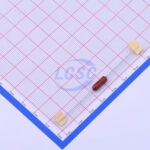 20190330 holly 30ts 032h c377310 back.jpg