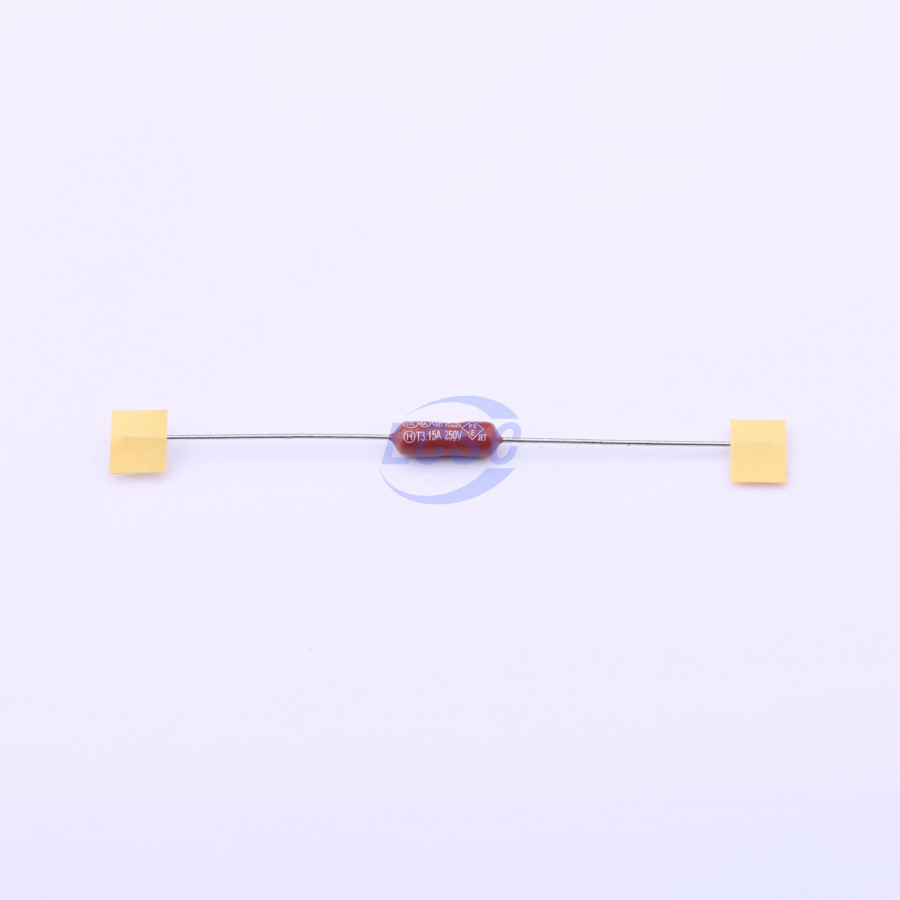 20190330 holly 30ts 032h c377310 blank.jpg