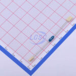 20190415 holly 20n 100h c377300 back.jpg