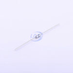 20190415 holly 20n 150h c377301 blank.jpg