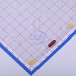 20190416 holly 30ts 063h c377311 back.jpg