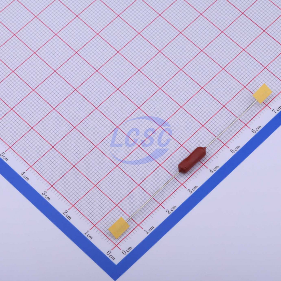 20190416 holly 30ts 063h c377311 back.jpg