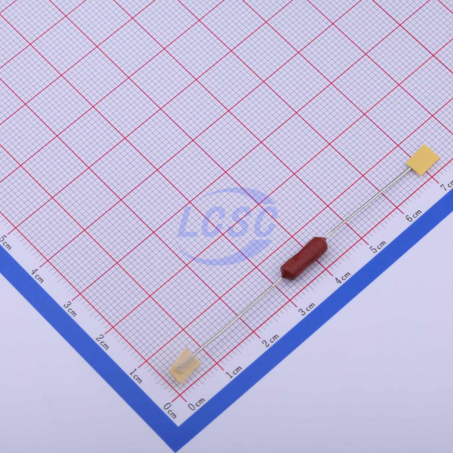 20190416 holly 30ts 100h c377312 back.jpg