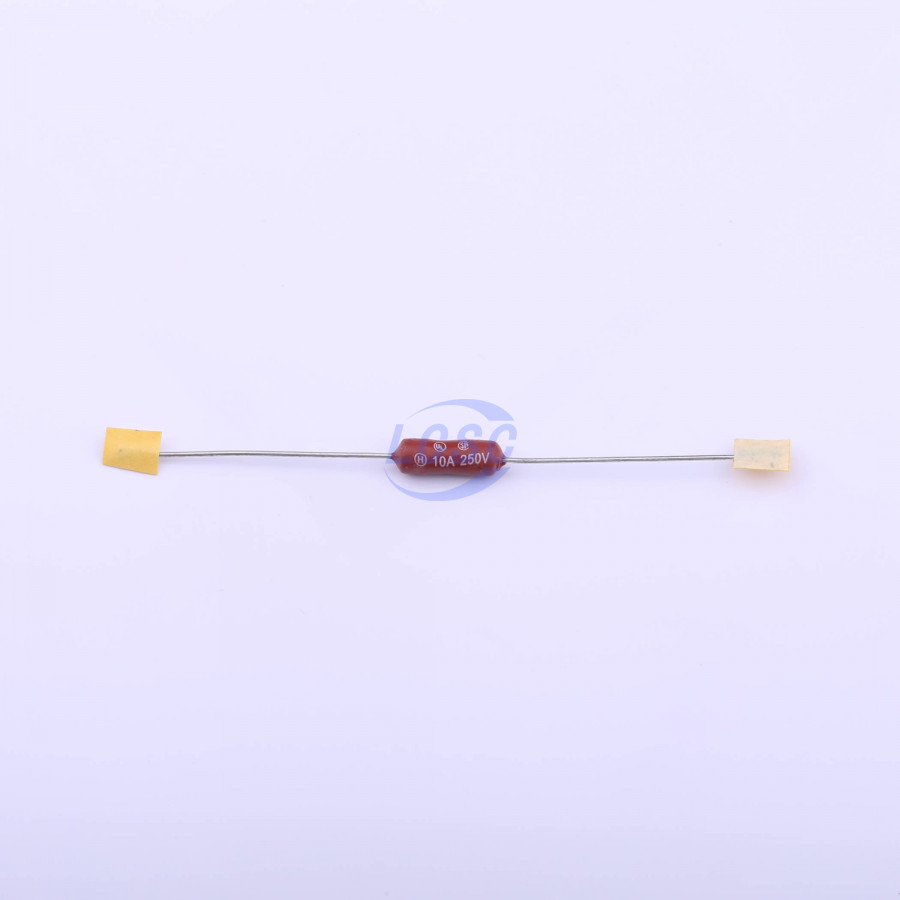 20190416 holly 30ts 100h c377312 blank.jpg