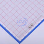 20190417 holly 30t 050h c377323 back.jpg